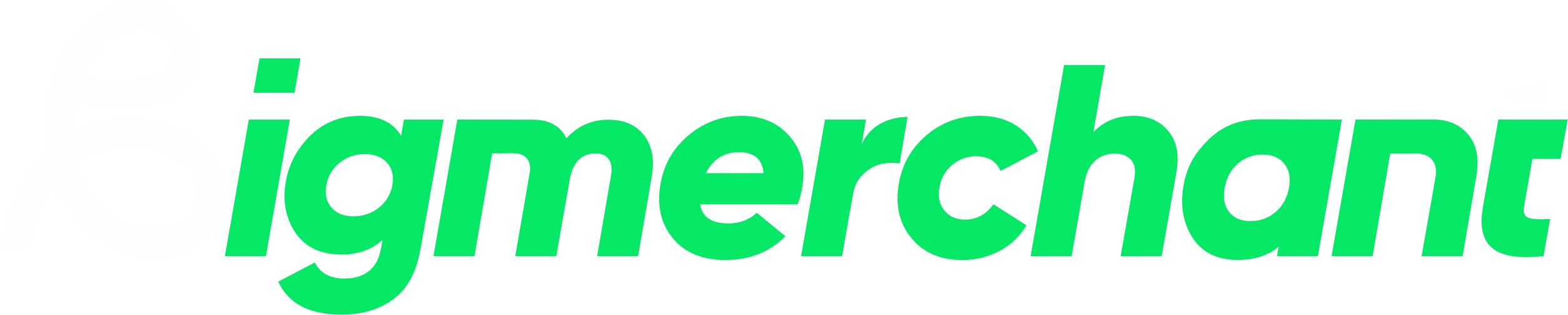 BigMerchant